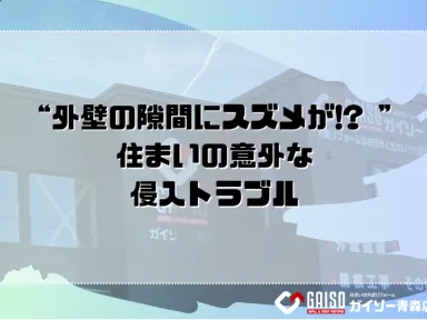 “外壁の隙間にスズメが!? ” 住まいの意外な侵入トラブル