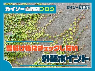 雪解け後にチェックしたい外装ポイント