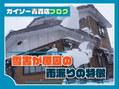 雪害が原因の雨漏りの特徴とは？