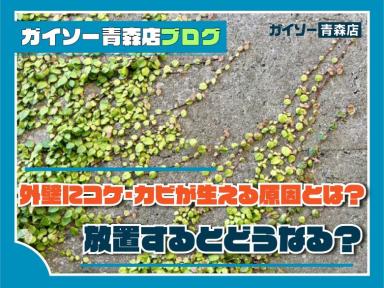 外壁にコケ・カビが生える原因とは？放置するとどうなる？
